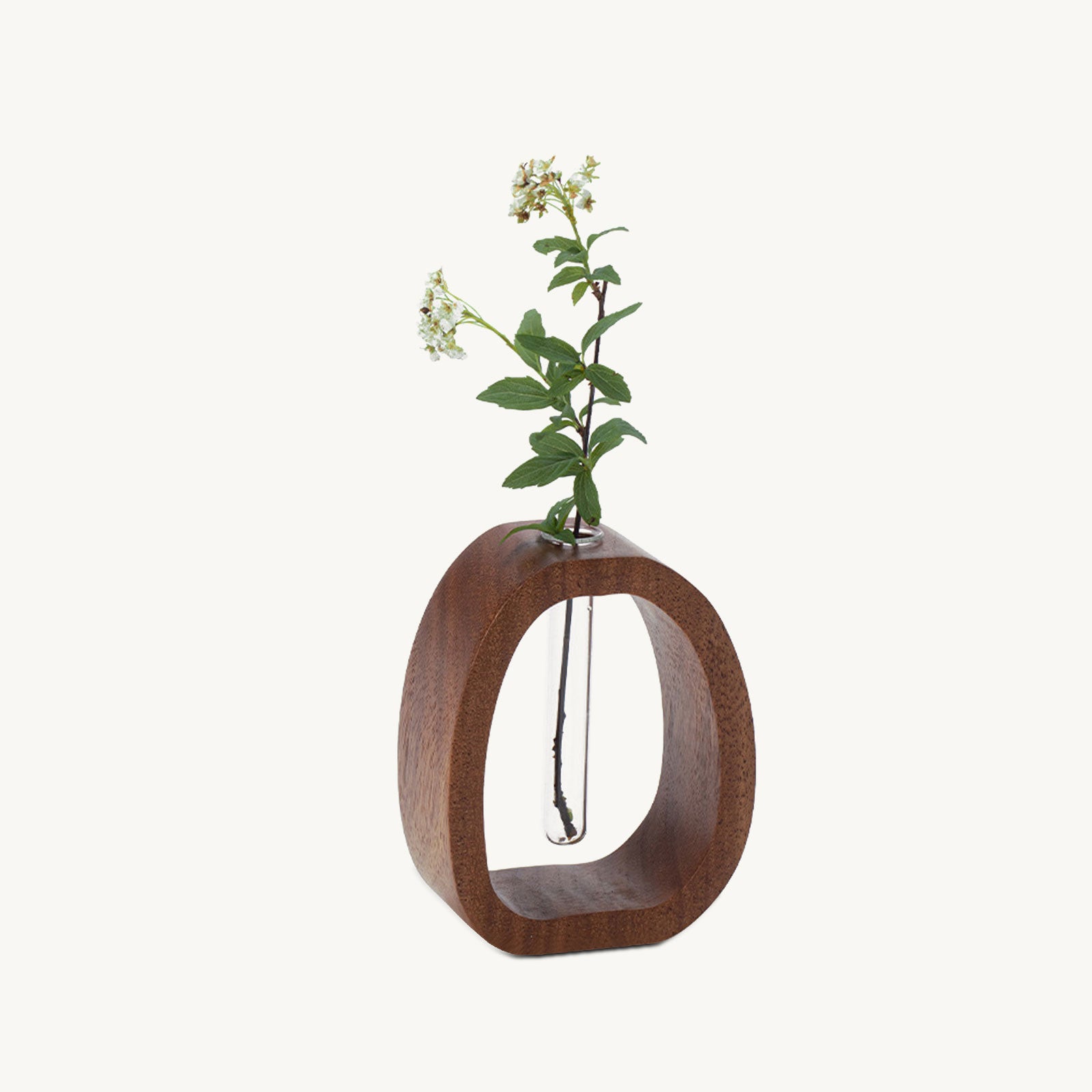 Plant Holders / Vases