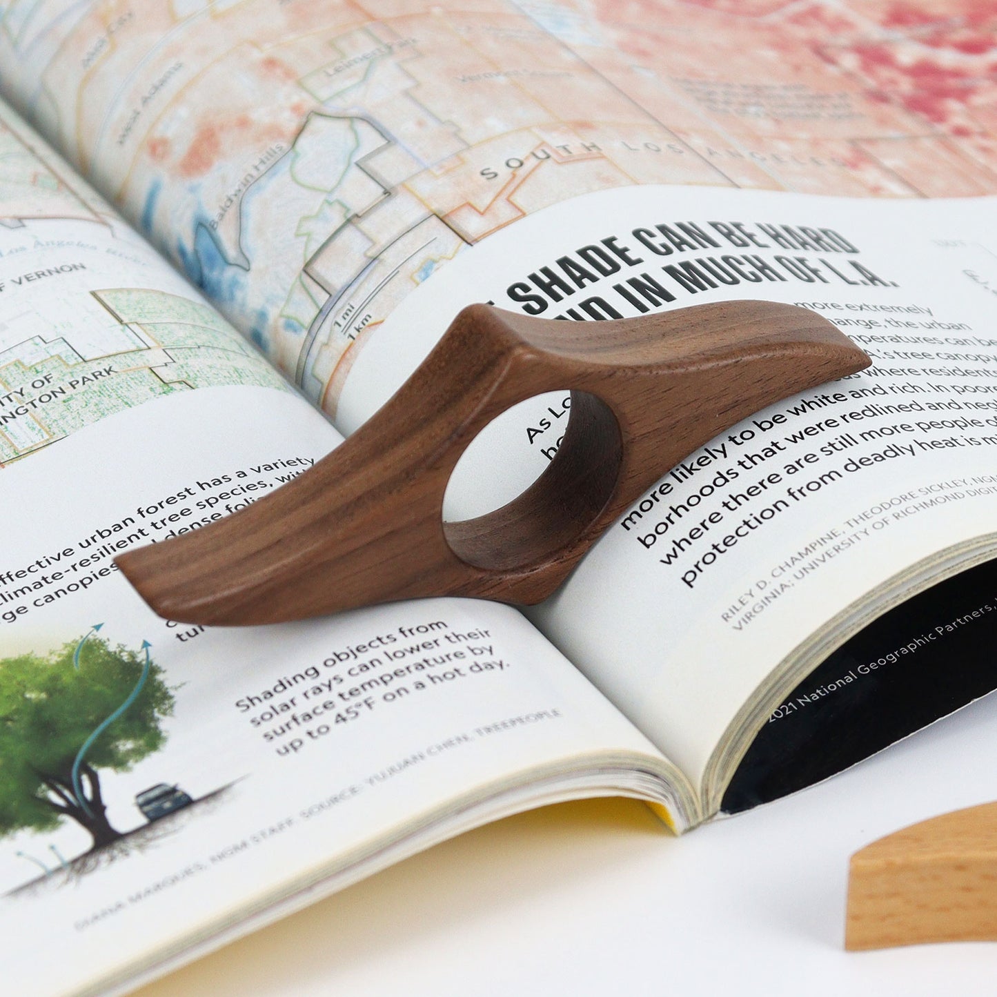 Black Walnut Wooden Book Page Holder