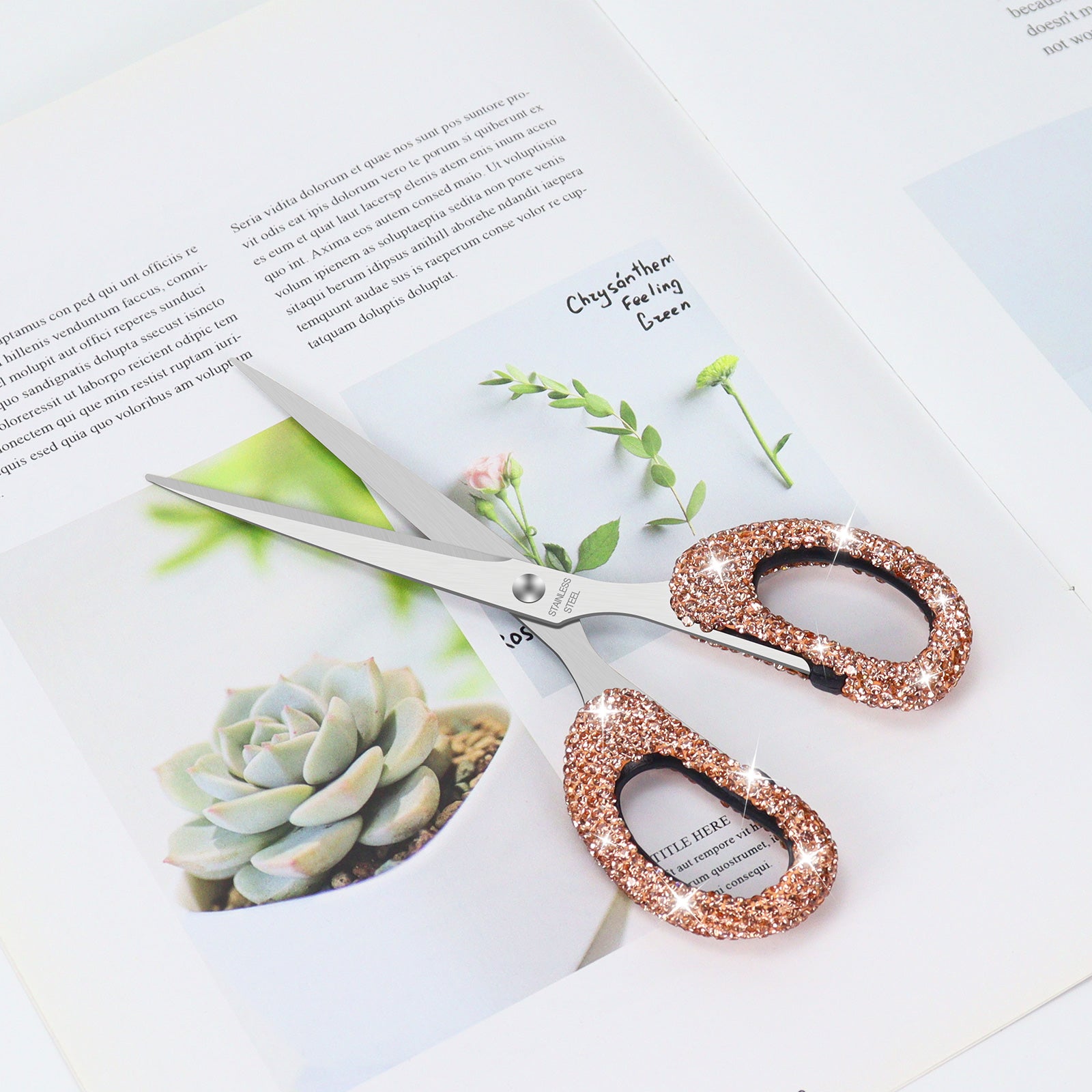 Stainless Steel scissors