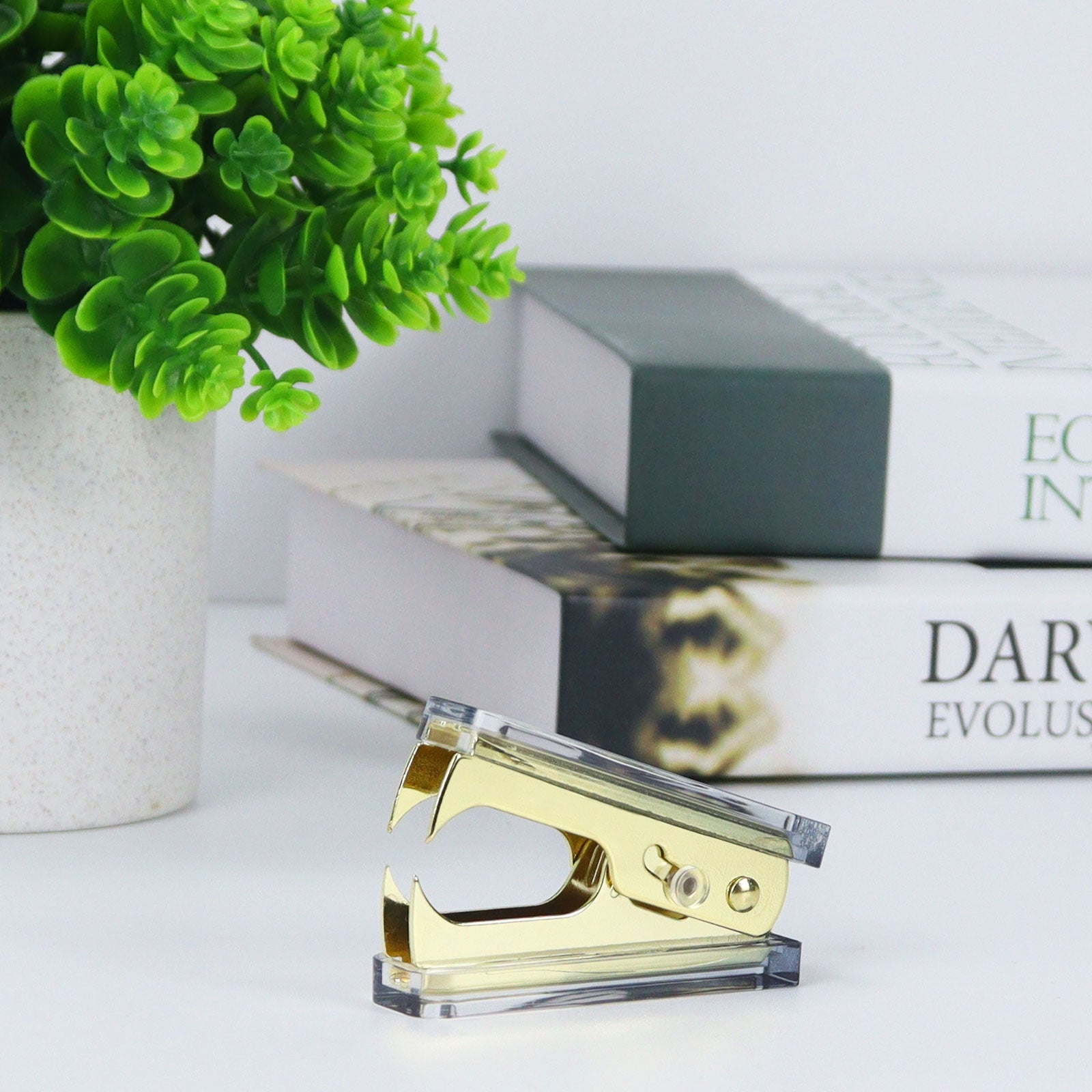 staple remover tool