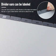 discbound tab dividers