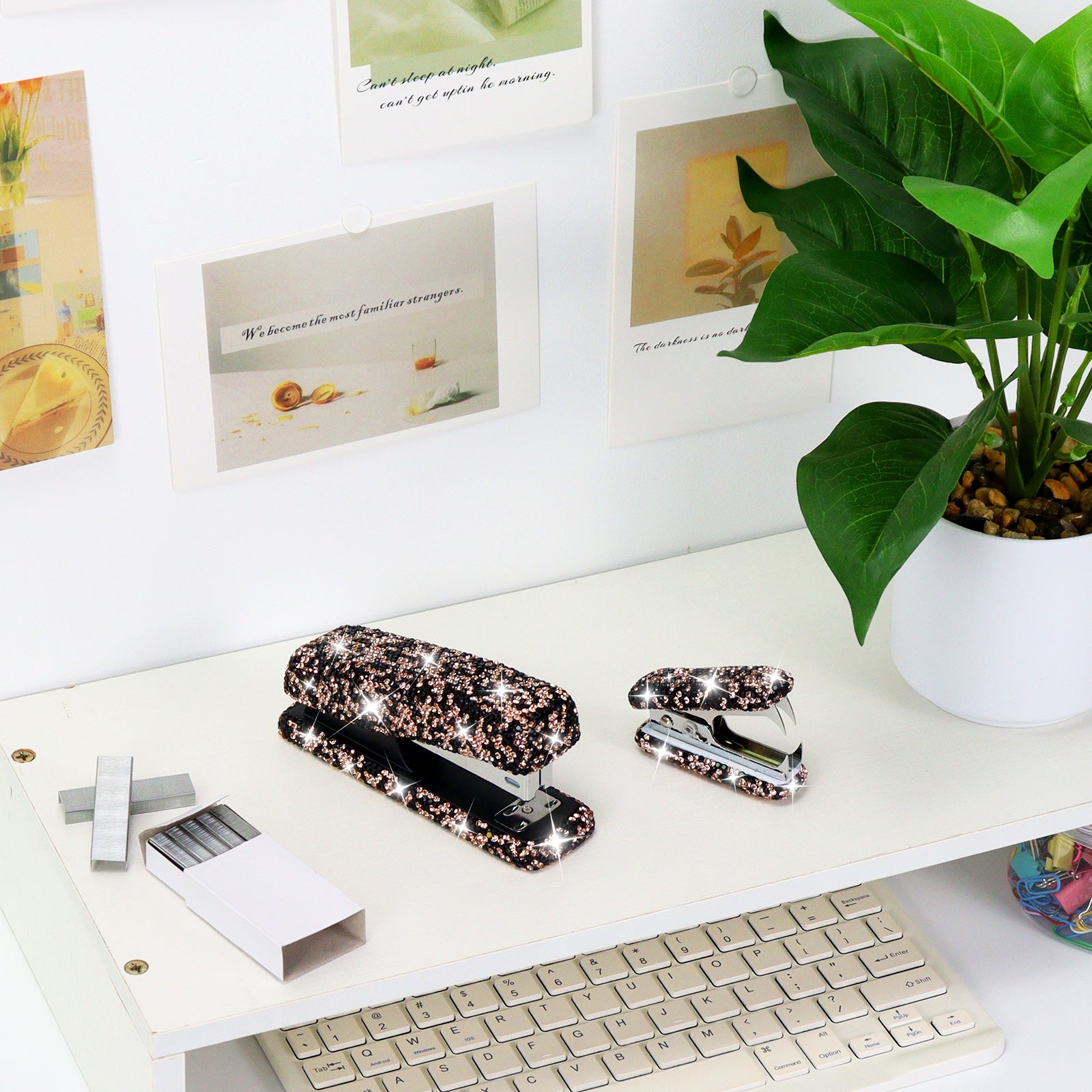 Stapler Remover