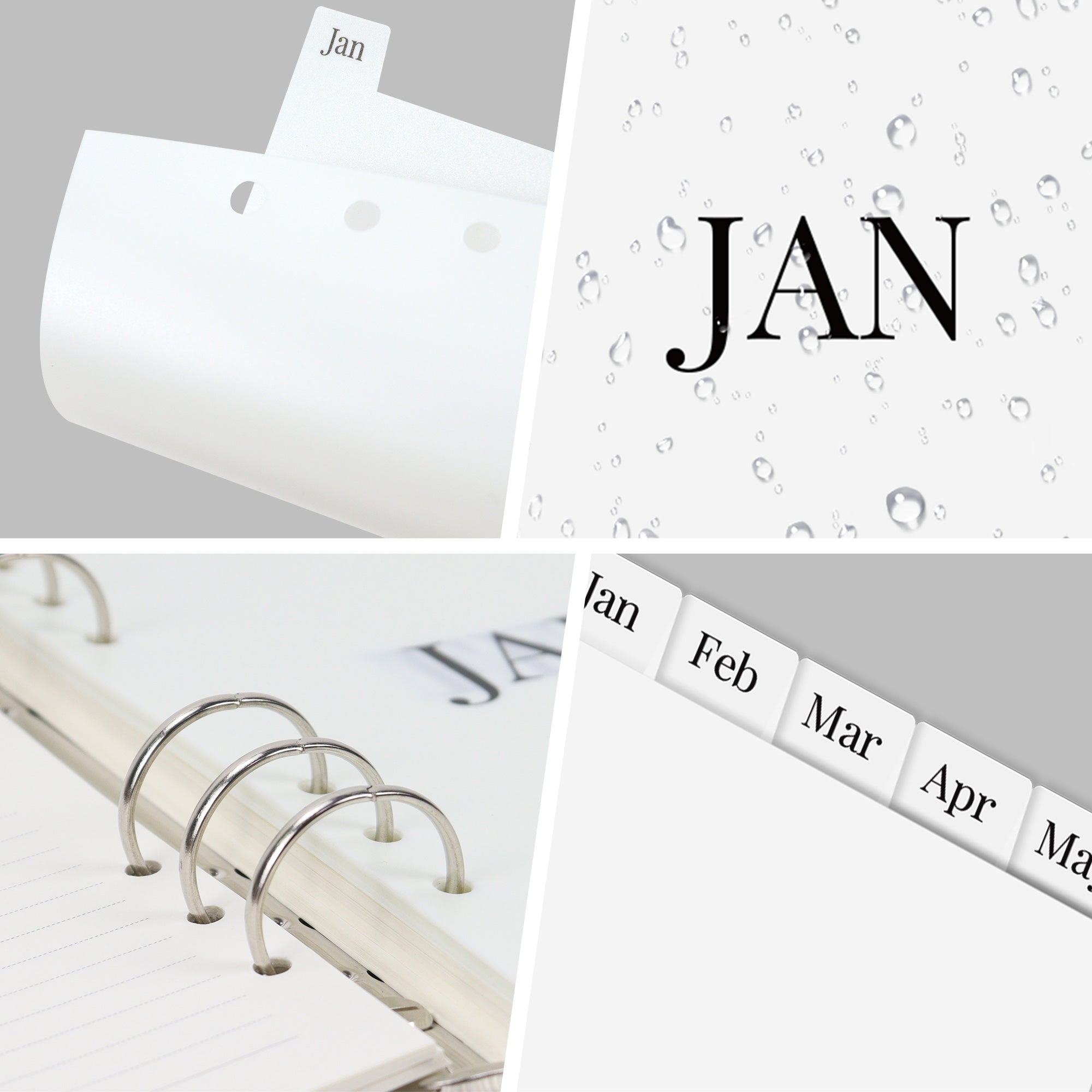 binder monthly dividers
