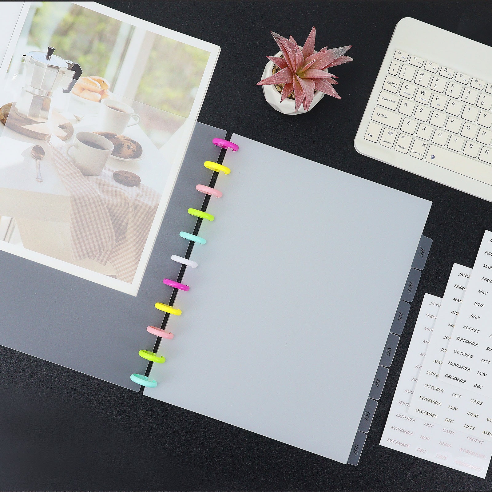 A4 discbound dividers