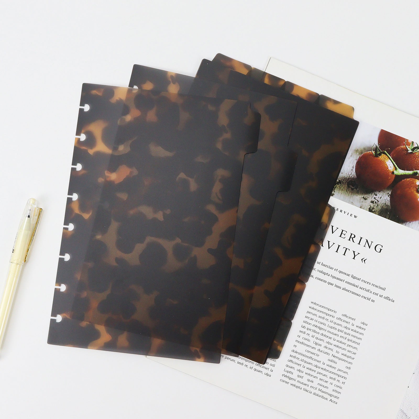 discbound planner dividers