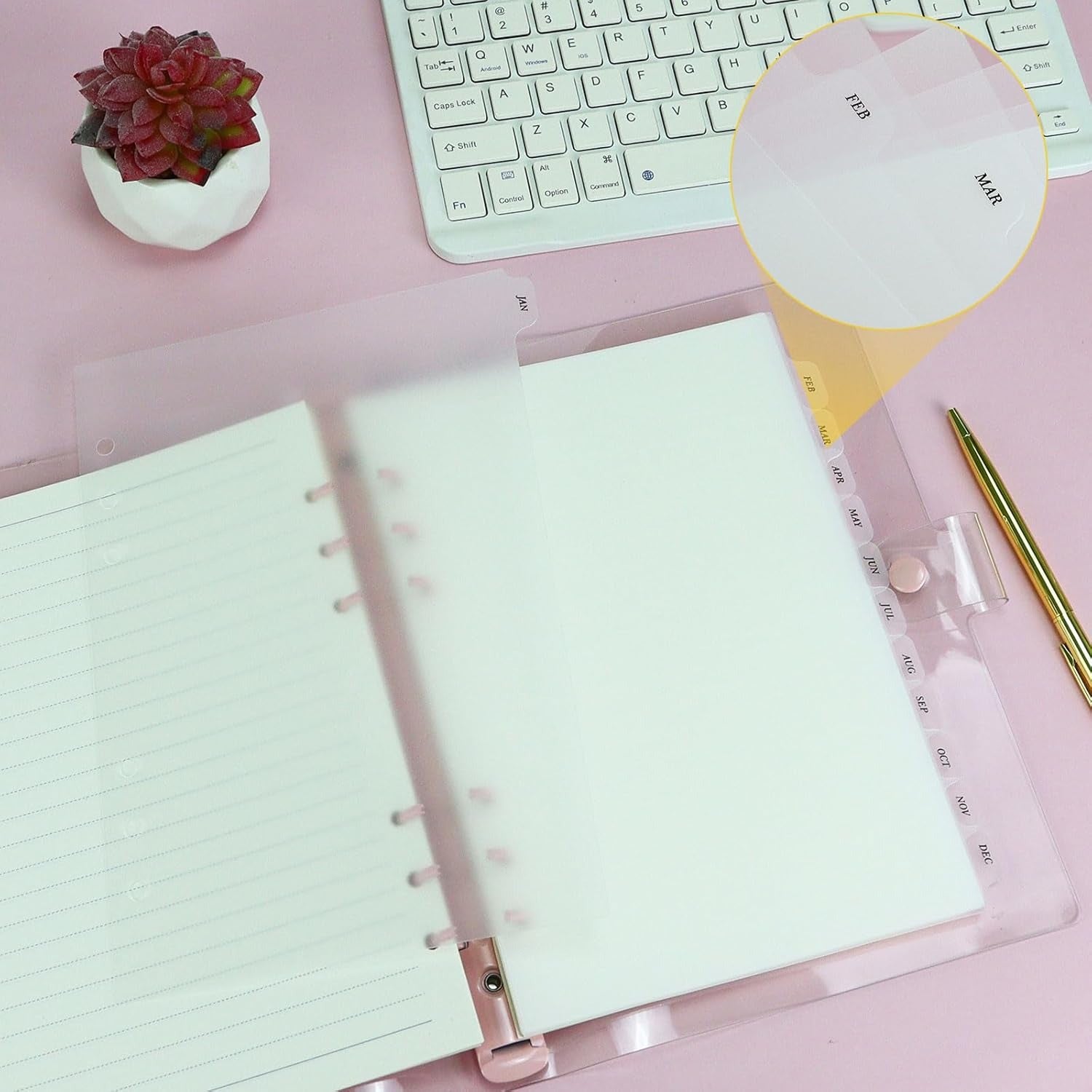 discbound tab dividers