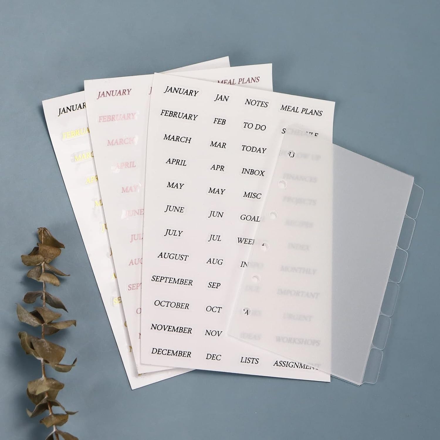 binder tab dividers
