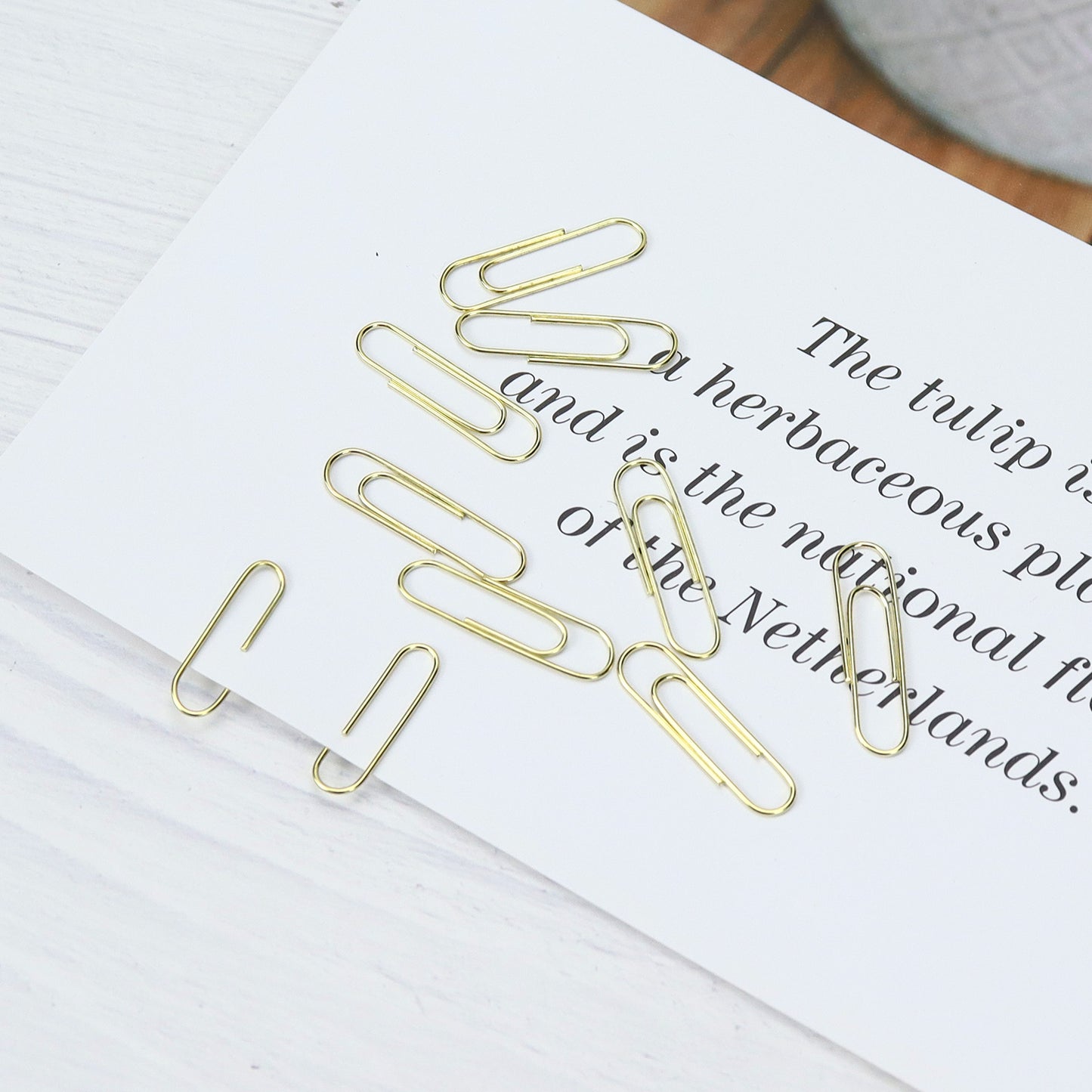 Gold Paper Clips Holder（28mm, 100 Clips per Box）